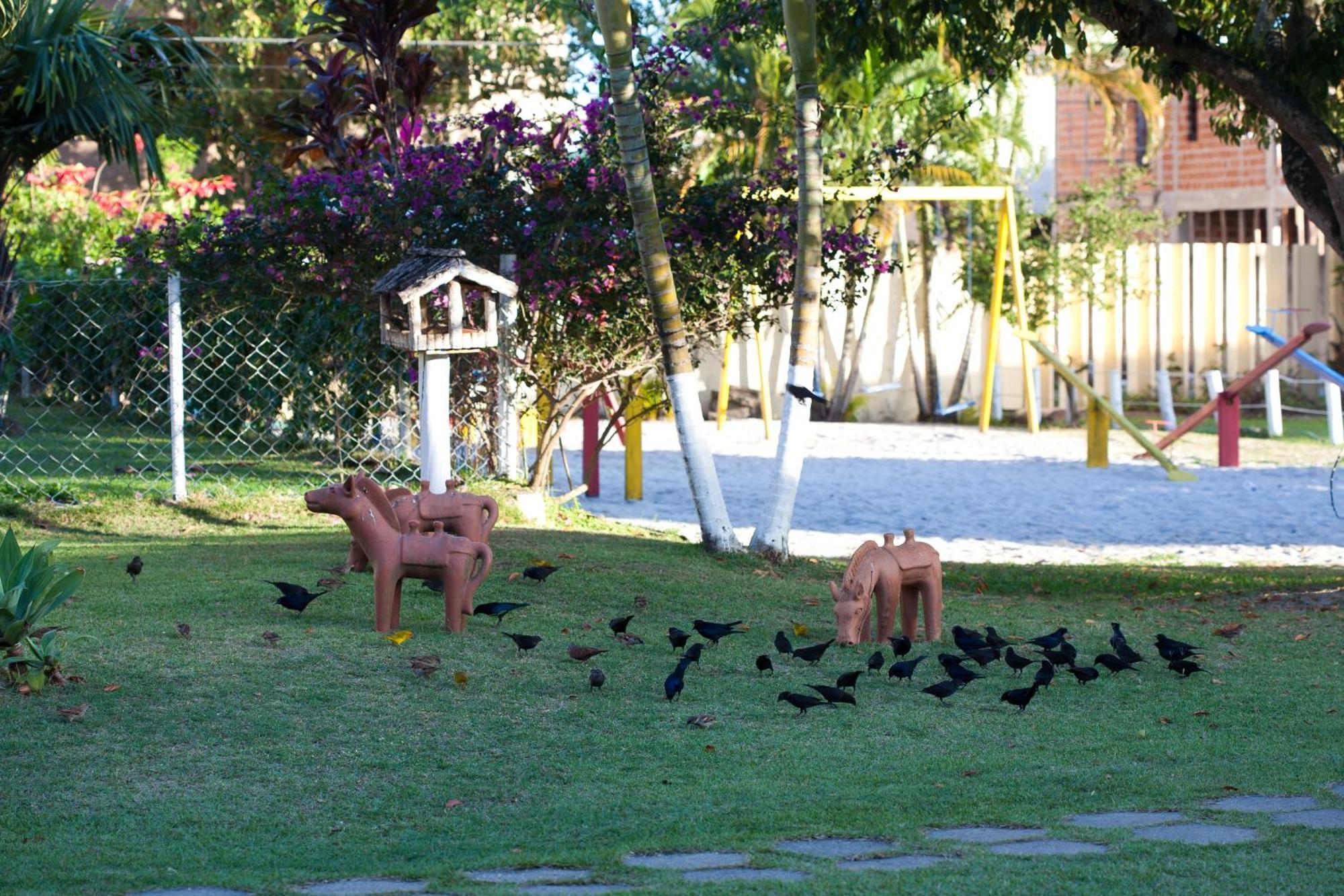 Caminho Da Praia