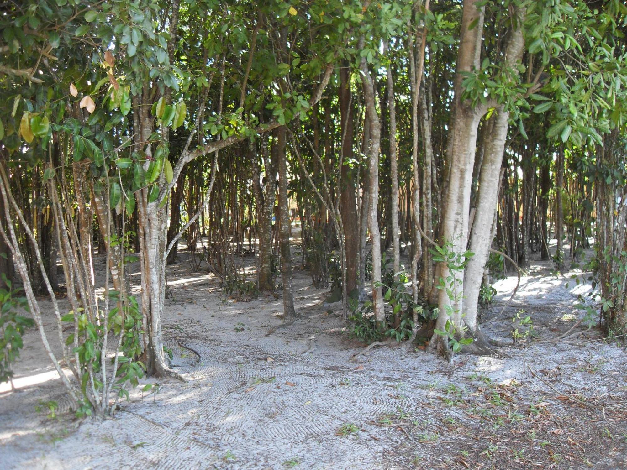 Caminho Da Praia 2*